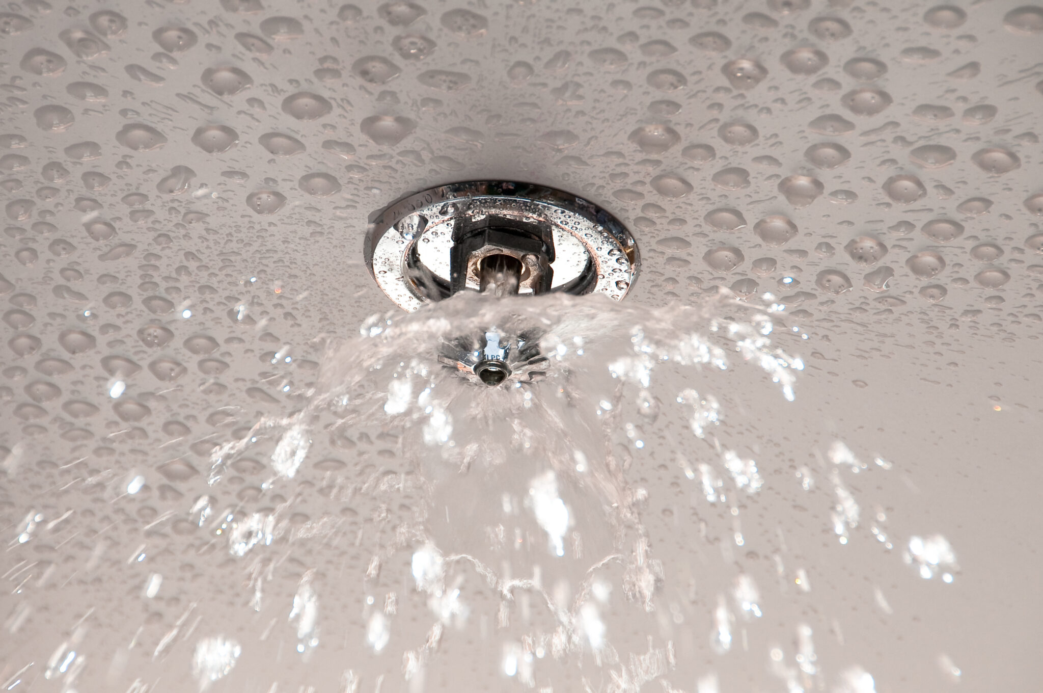 Sprinkler sprinkling