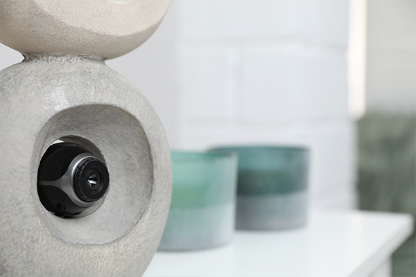 Security camera