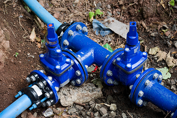 Water backflow prevention device